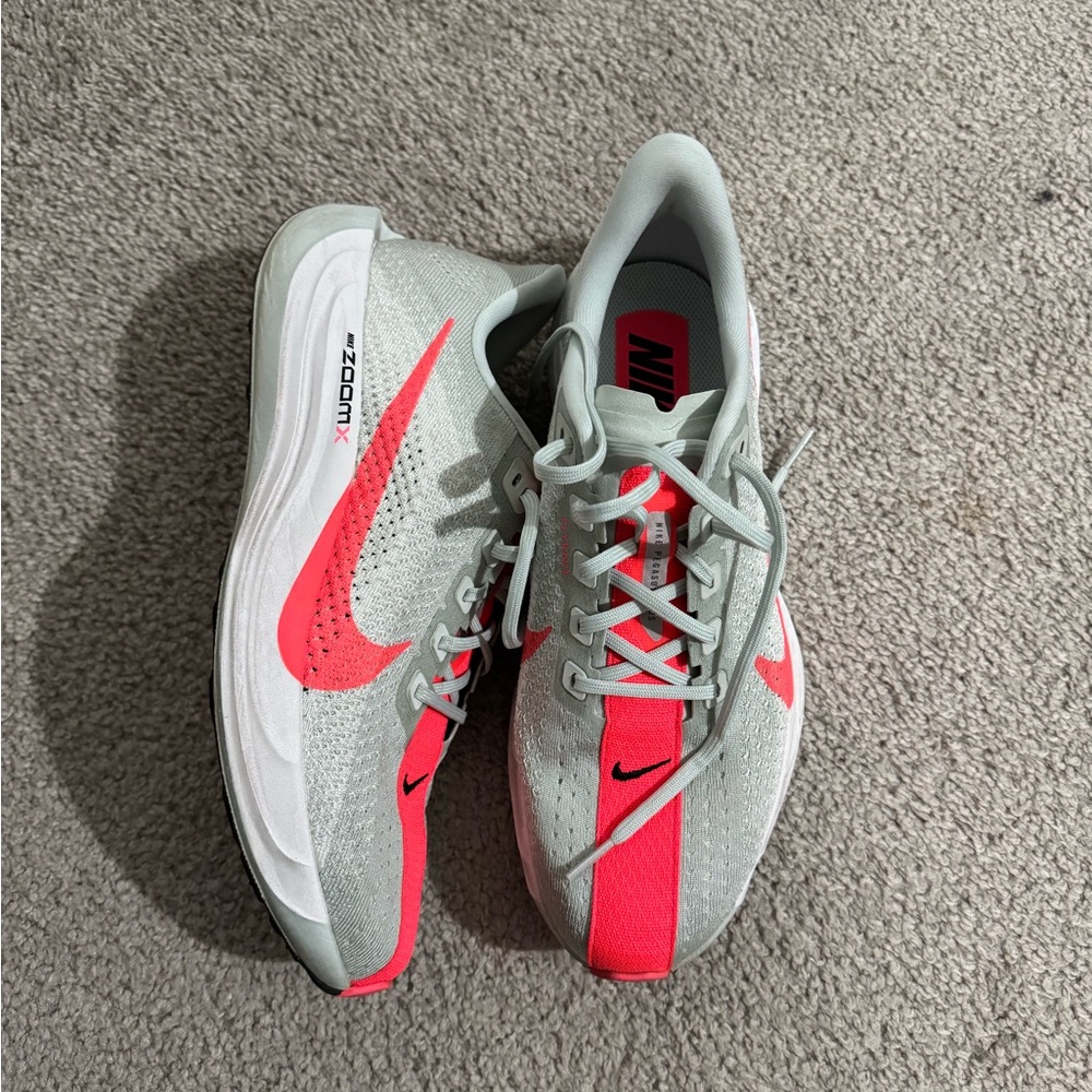Nike Pegasus flyknit 10.5
